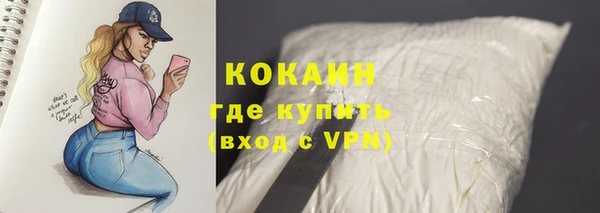 спиды Кукмор